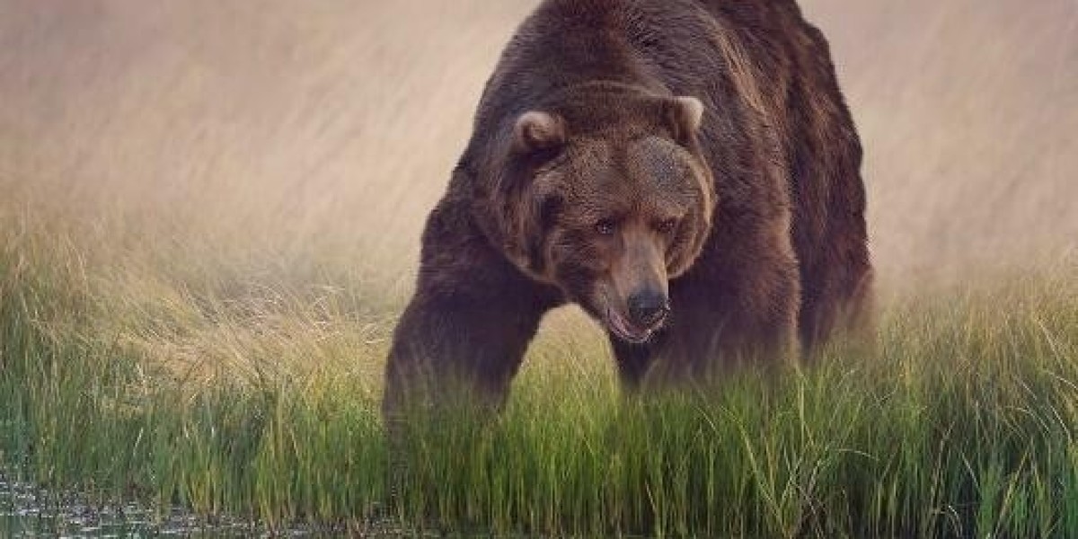 Best home Equity Credit Line (HELOC) Rates For June 2025